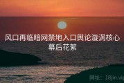 风口再临暗网禁地入口舆论漩涡核心幕后花絮
