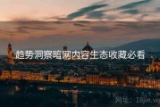 趋势洞察暗网内容生态收藏必看