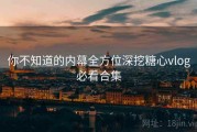 你不知道的内幕全方位深挖糖心vlog必看合集