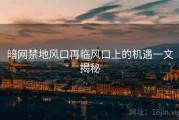 暗网禁地风口再临风口上的机遇一文揭秘