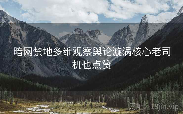 暗网禁地多维观察舆论漩涡核心老司机也点赞