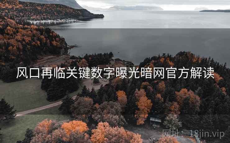 风口再临关键数字曝光暗网官方解读