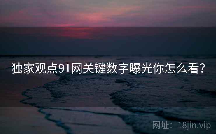 独家观点91网关键数字曝光你怎么看？