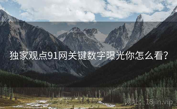 独家观点91网关键数字曝光你怎么看？