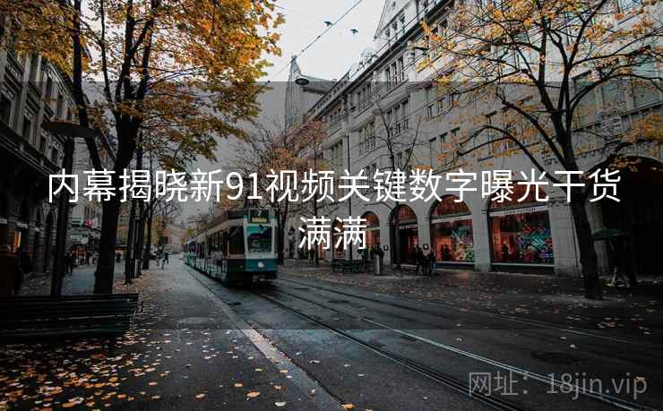 内幕揭晓新91视频关键数字曝光干货满满