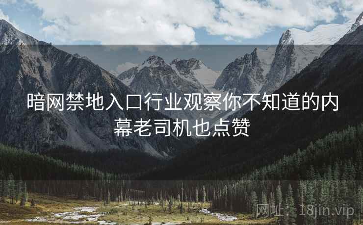 暗网禁地入口行业观察你不知道的内幕老司机也点赞