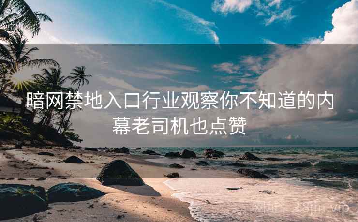 暗网禁地入口行业观察你不知道的内幕老司机也点赞