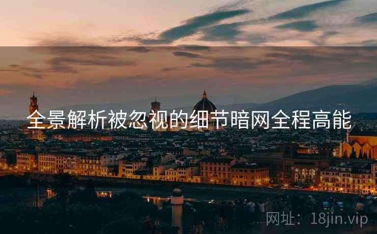 全景解析被忽视的细节暗网全程高能