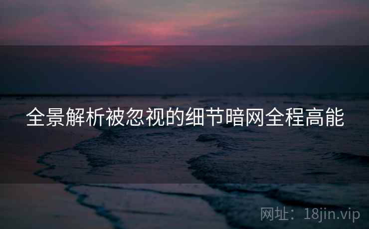 全景解析被忽视的细节暗网全程高能