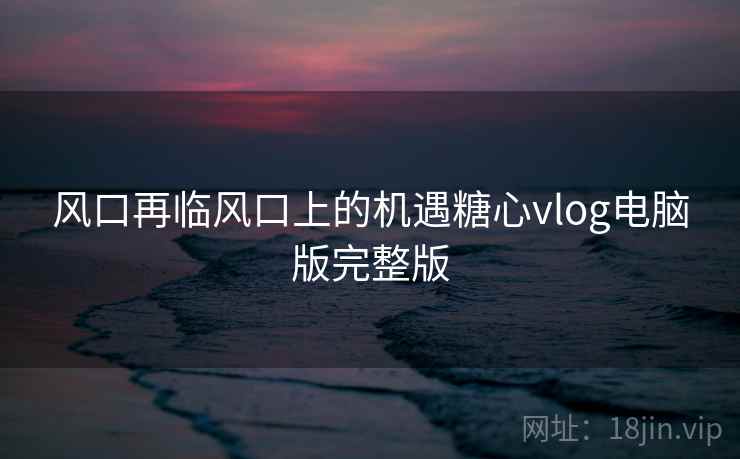 风口再临风口上的机遇糖心vlog电脑版完整版