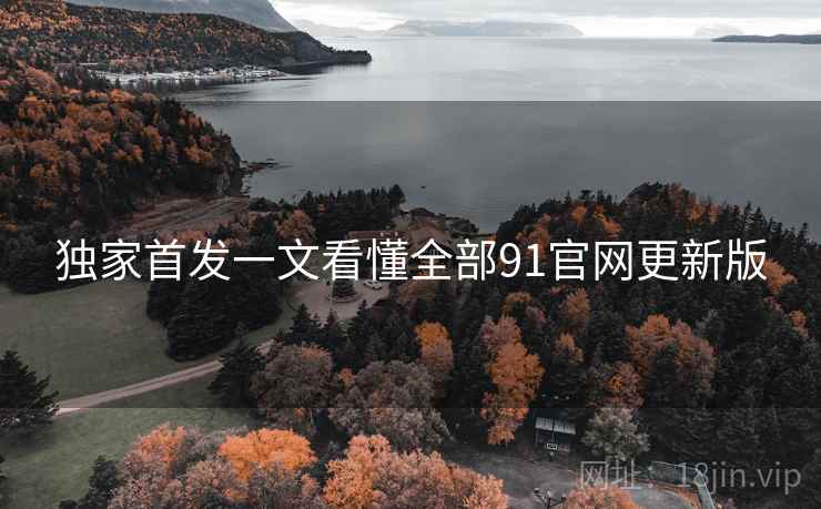 独家首发一文看懂全部91官网更新版
