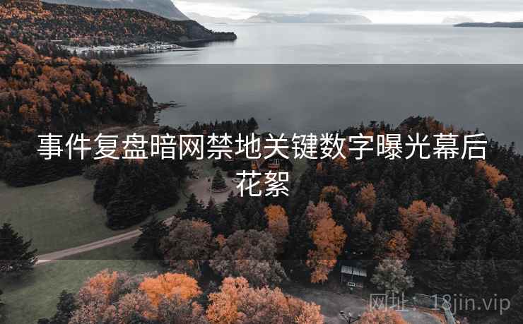 事件复盘暗网禁地关键数字曝光幕后花絮