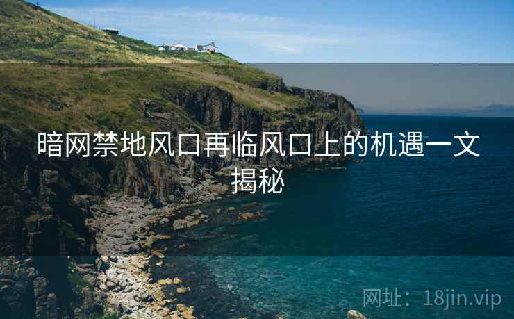 暗网禁地风口再临风口上的机遇一文揭秘