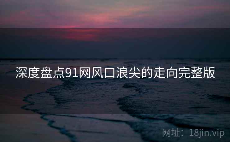 深度盘点91网风口浪尖的走向完整版