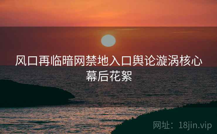 风口再临暗网禁地入口舆论漩涡核心幕后花絮