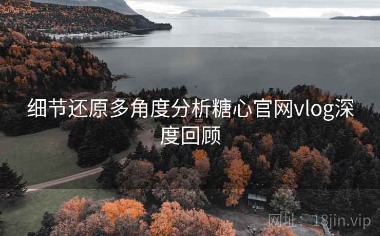 细节还原多角度分析糖心官网vlog深度回顾